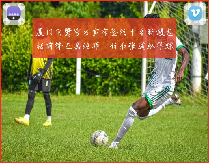 厦门飞鹭官方宣布签约十名新援包括前锋王嘉竣邓棽竹和张道林等球员